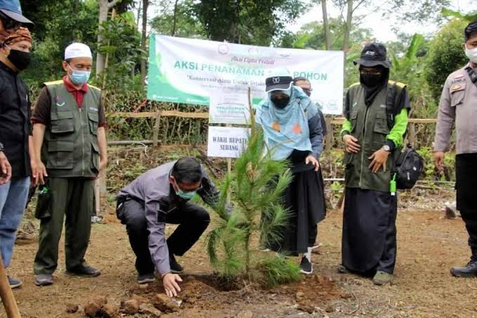 Aksi Penanaman 1100 Pohon di Bukit Jamali